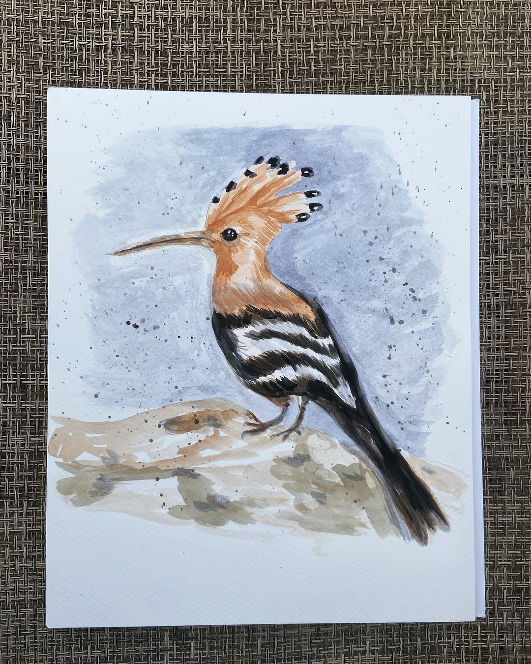 Upupa acquerello originale SGBerryart