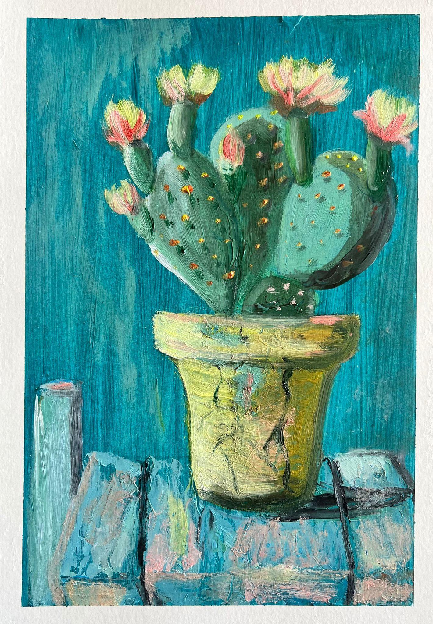 Cactus in Fiore olio