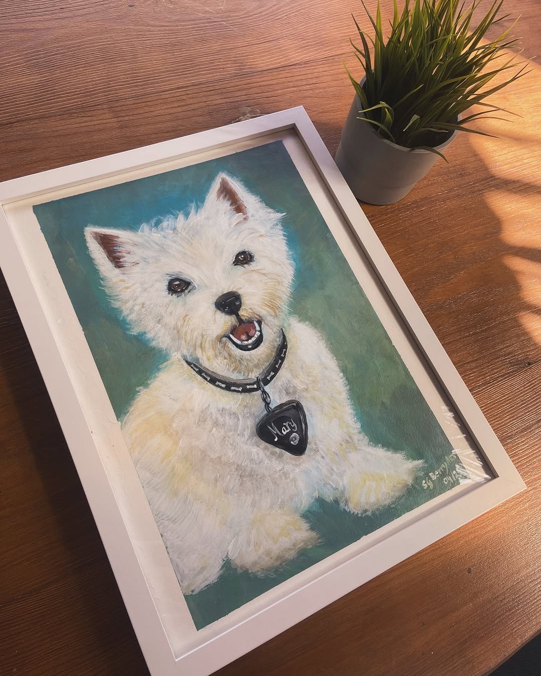 Ritratto Westie acrilico