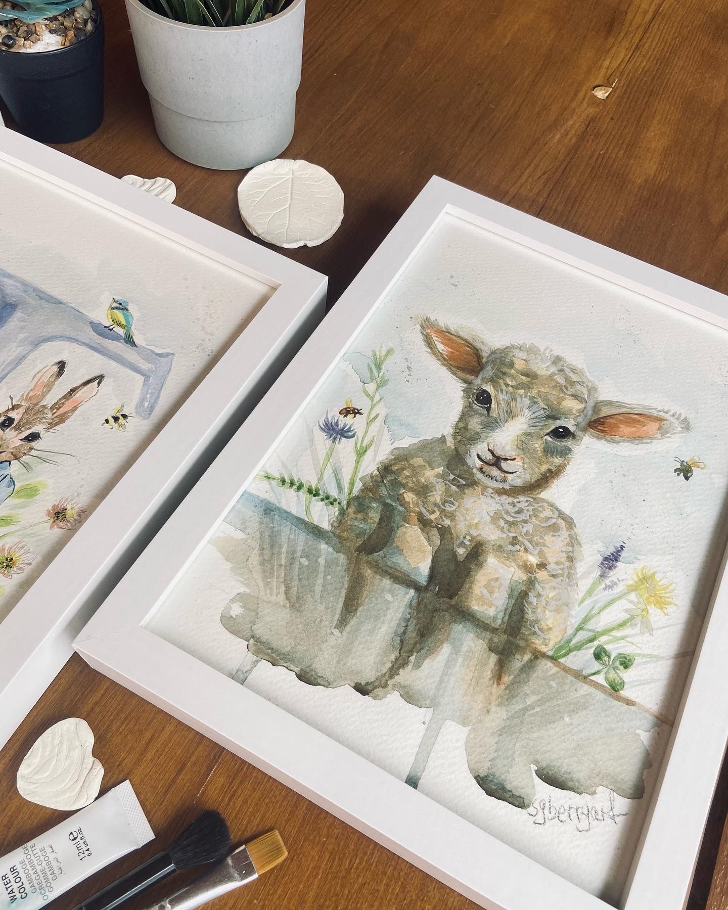 Agnellino dettaglio acquerello